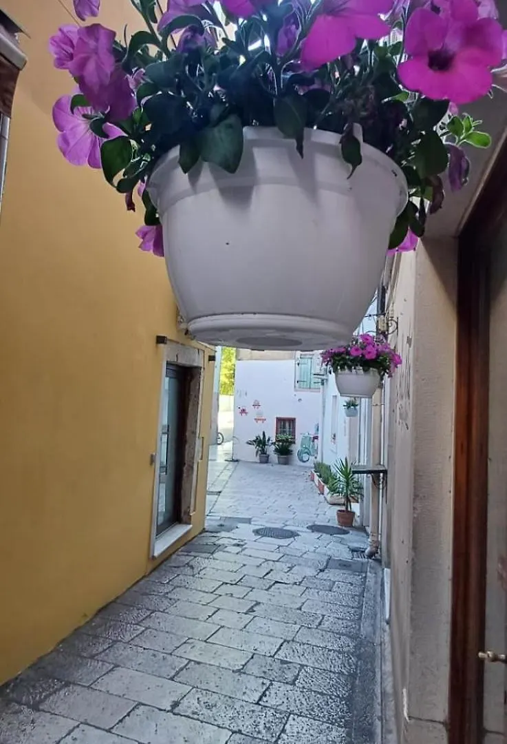 Holiday home Townhouse Sea View Villa Zadar